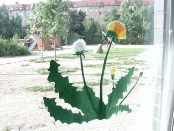 Schuljahr 2000 / 2001