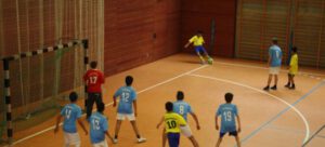 Der Löwenzahn am Ball